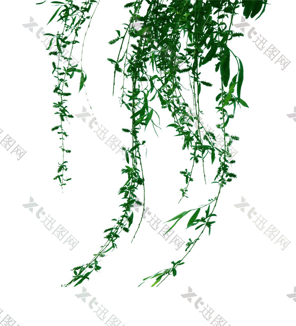 绿色花藤装饰图案素材