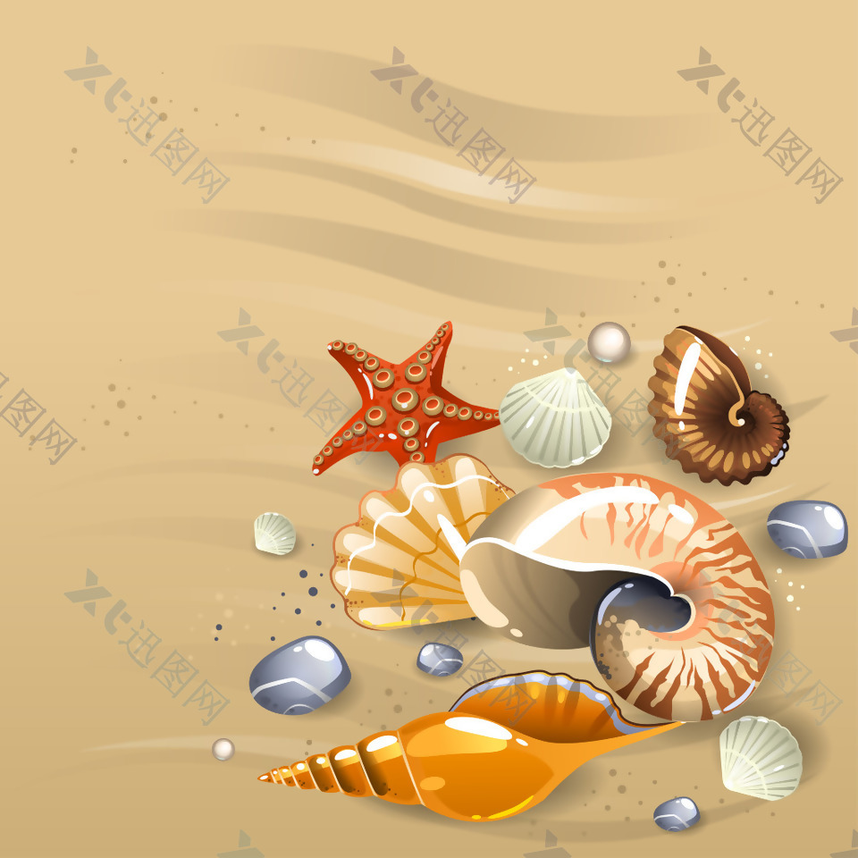 沙滩上的贝壳插画