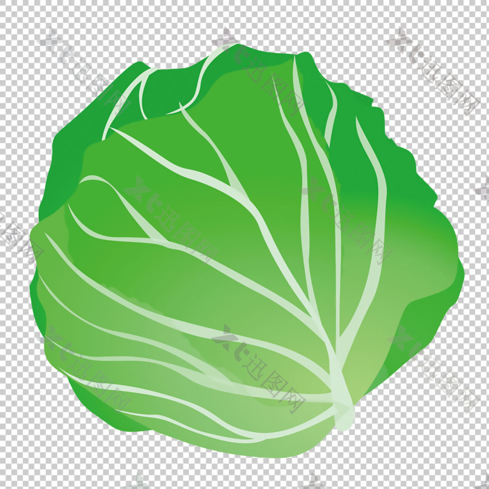 手绘绿色包菜免抠png透明图层素材