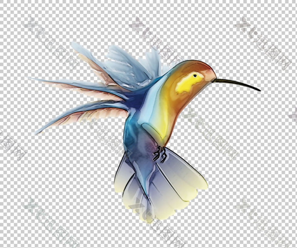 彩色蜂鸟图片免抠png透明图层素材