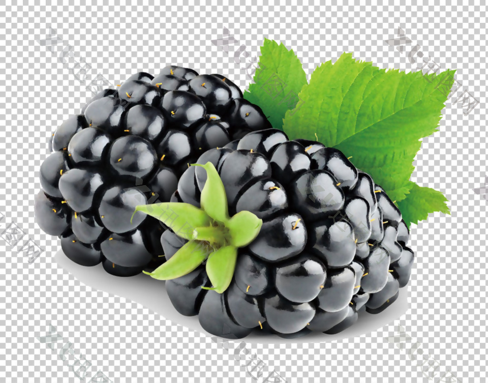水果黑莓图片免抠png透明图层素材
