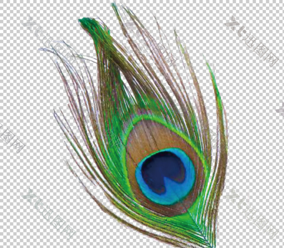 孔雀羽毛绘画免抠png透明图层素材