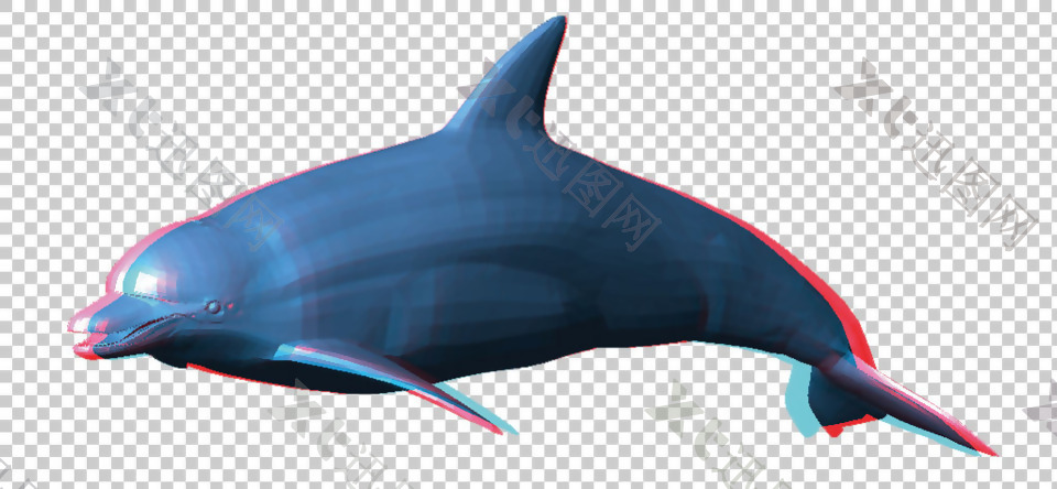 漂亮海豚免抠png透明图层素材