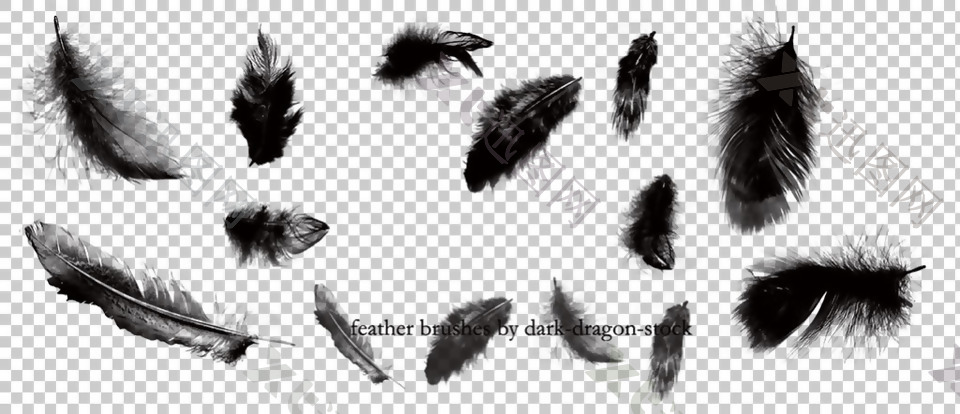 漂亮黑色羽毛免抠png透明图层素材