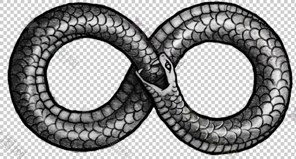 8字形蛇文身图案免抠png透明图层素材