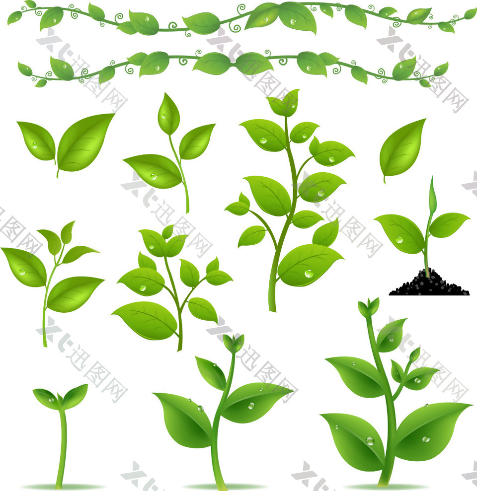 清新绿色植物插画