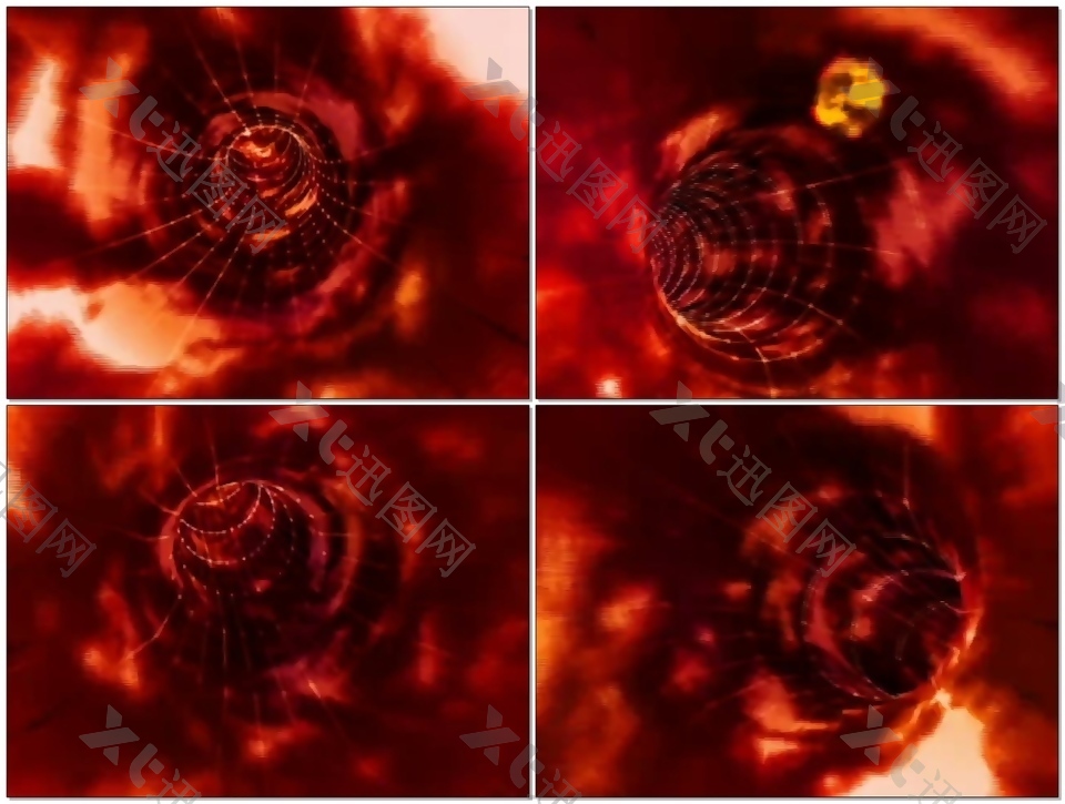 红玫瑰动态视频素材
