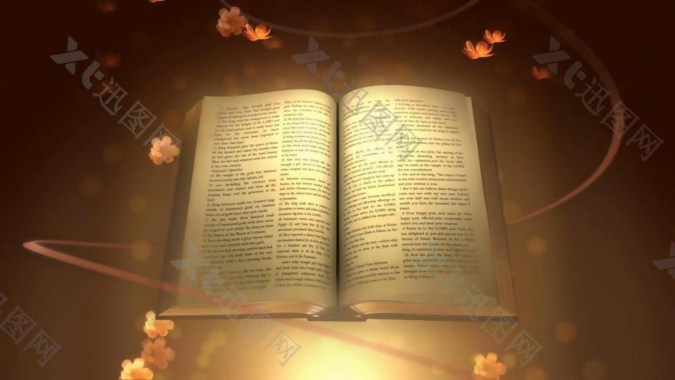 古典圣经散发迷人光芒动态素材