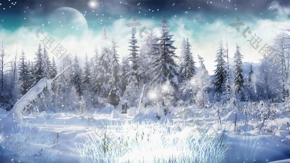 创意梦幻冬天雪地意景雪粒飘舞动态视频素材