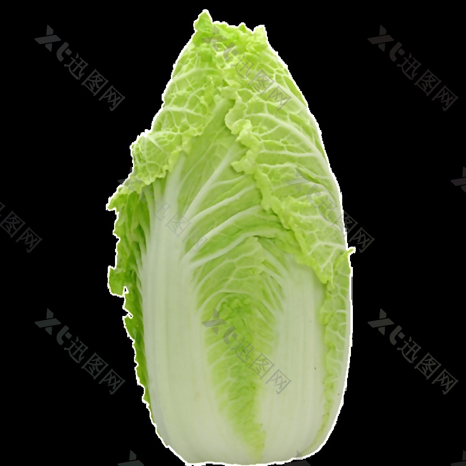 大白菜透明蔬菜