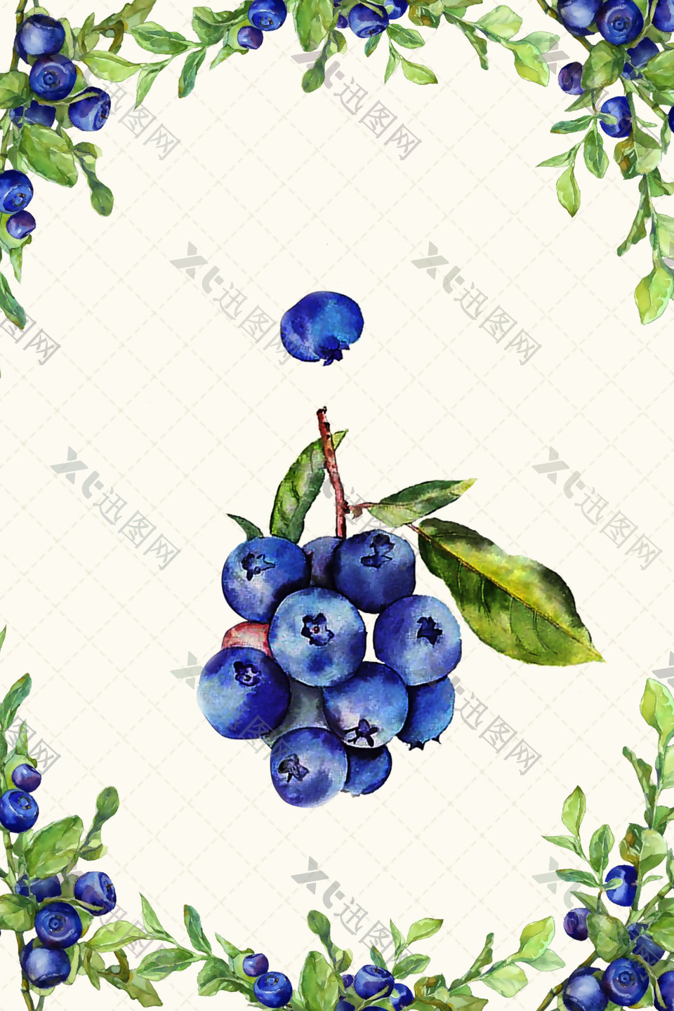清新淡雅蓝莓背景