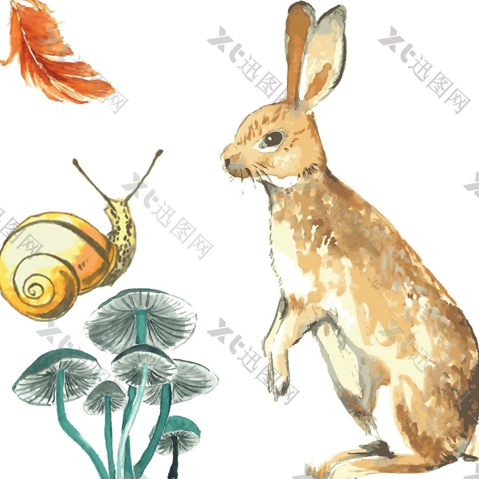 手绘蘑菇蜗牛兔子插画
