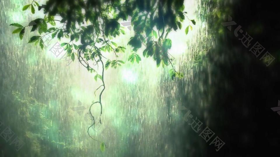 动感幻化光波飘零热带森林视频素材