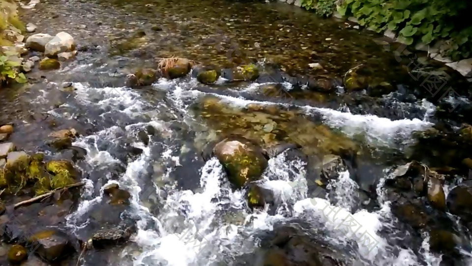 户外小河里急速流淌的河水实拍素材