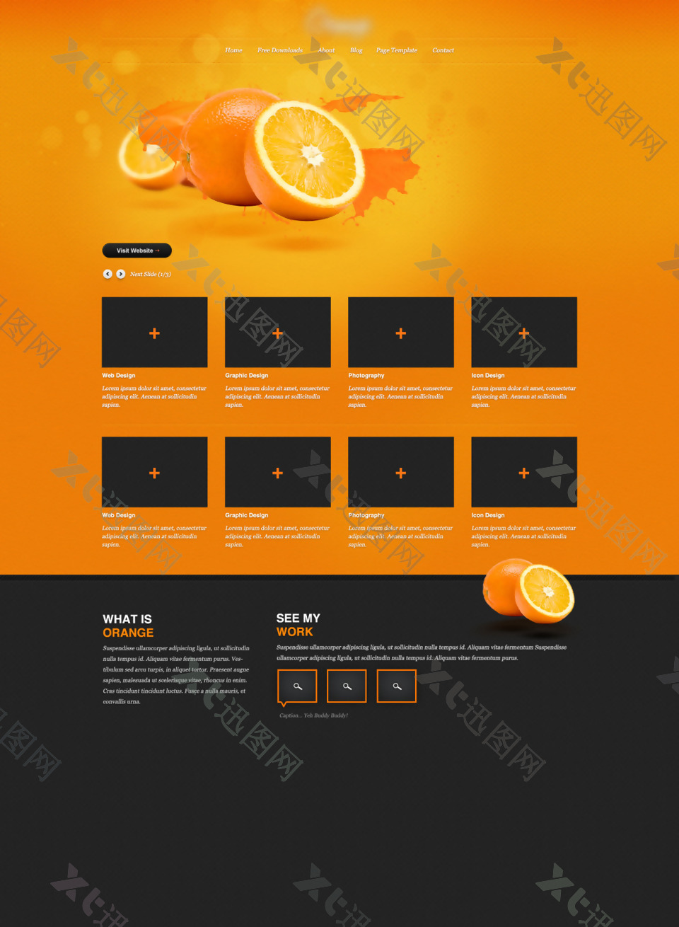 橙色水果果汁网站模板设计