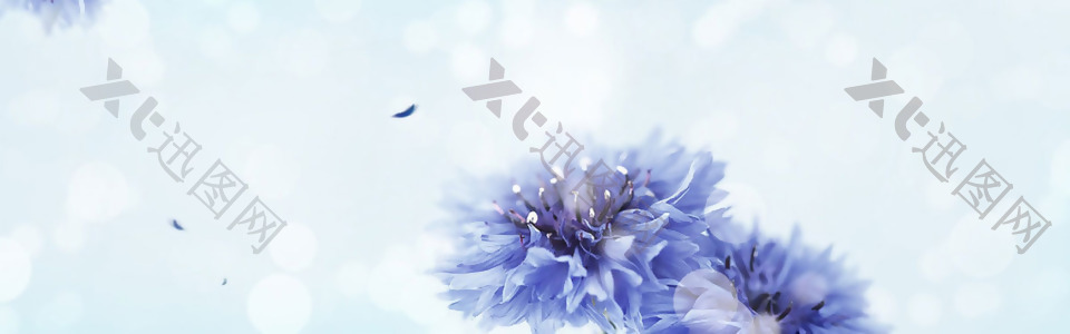 唯美蓝色浪漫紫色花朵淘宝banner背景