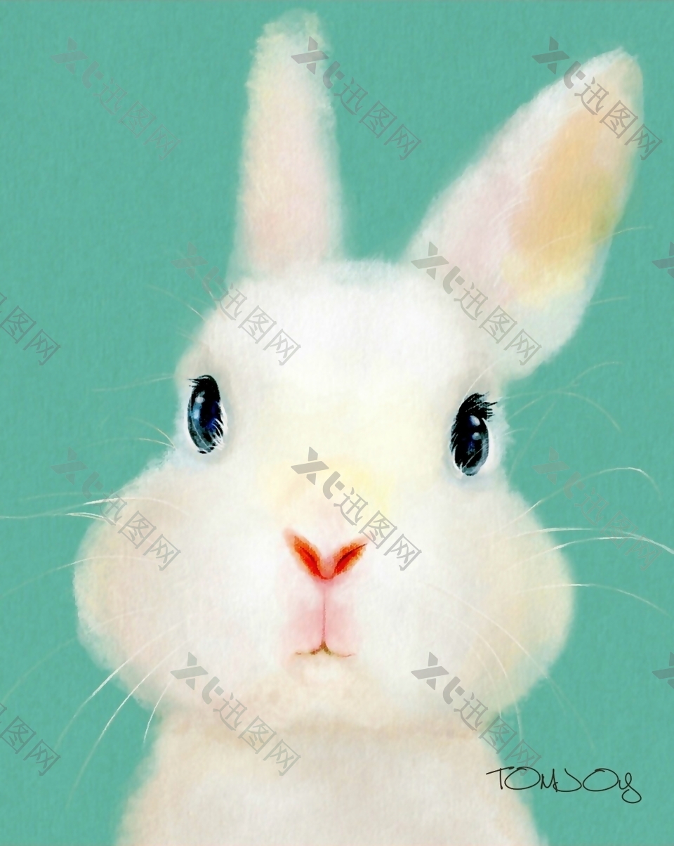 手绘可爱动物小兔子玩具装饰画挂画无框画