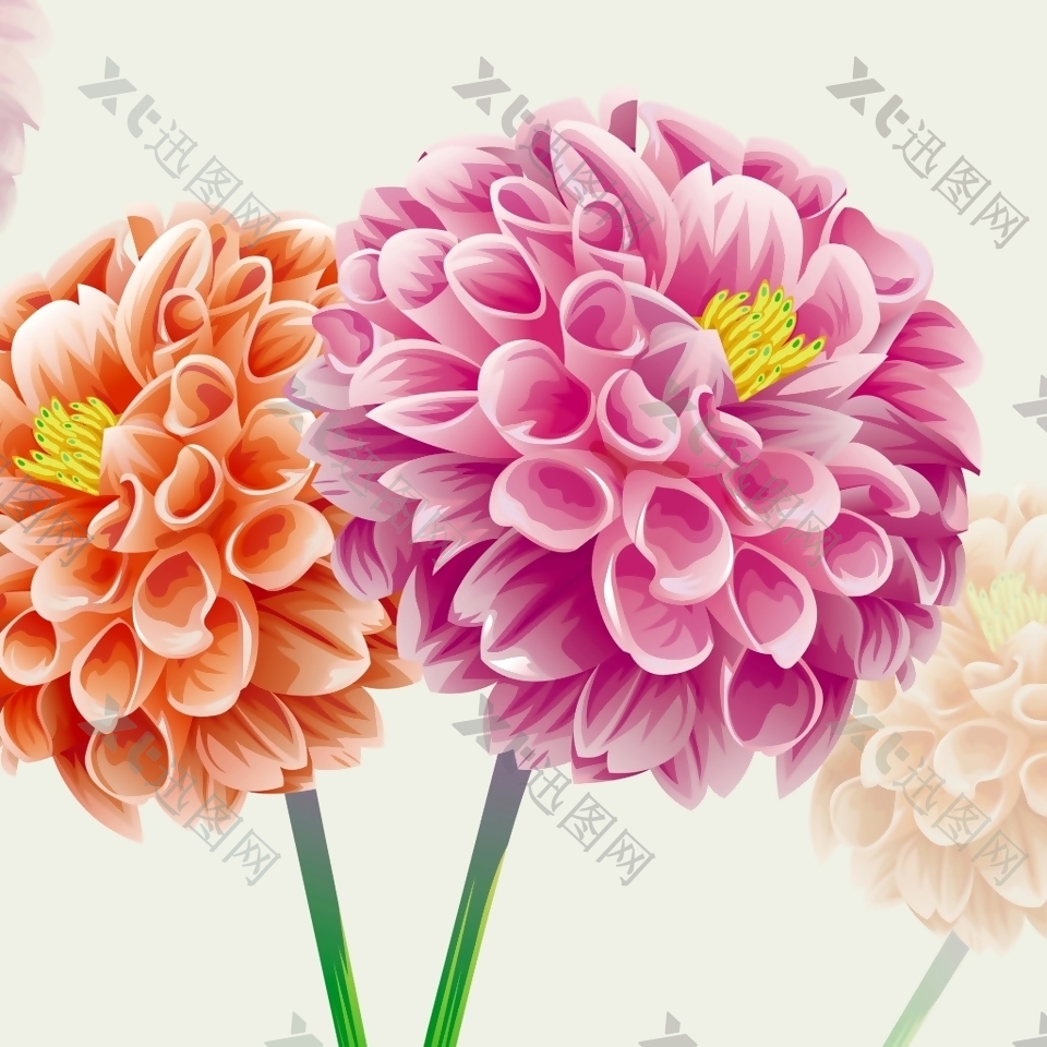 彩色花球花束装饰画