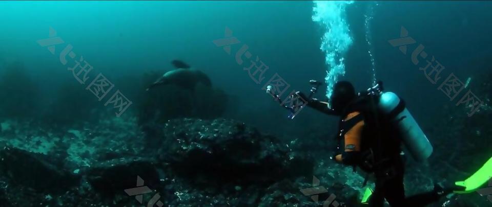实拍深海潜水看见的美丽景色视频素材