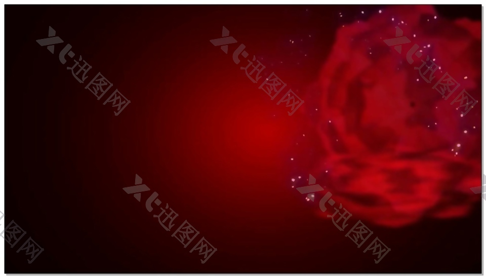 花朵中国红视频素材