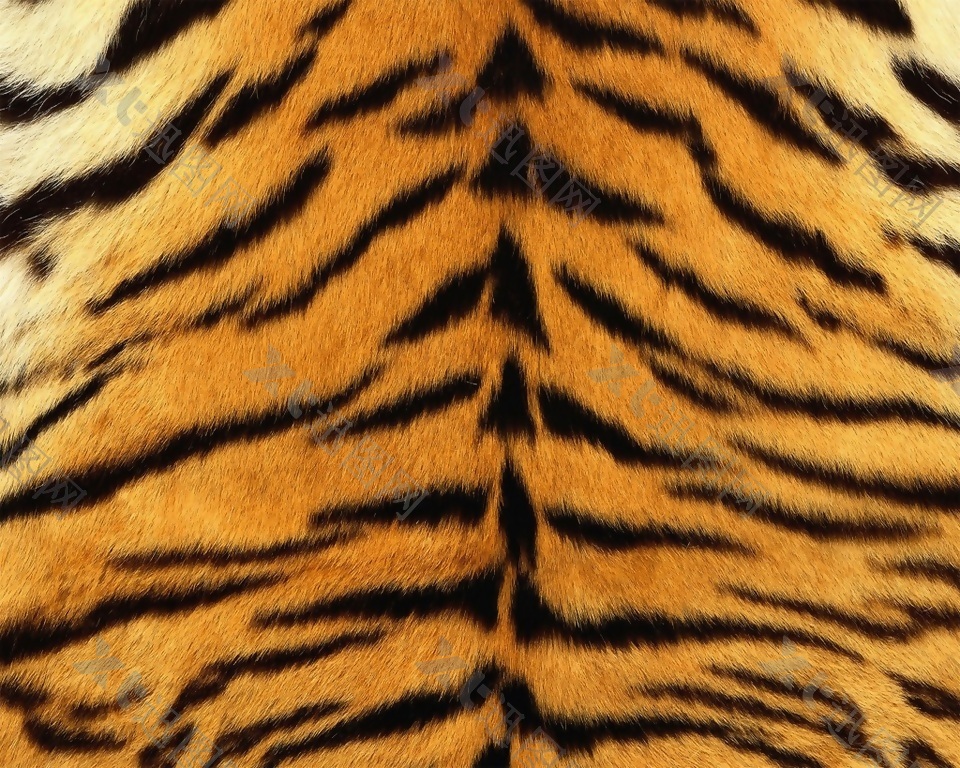 虎纹动物填充纹理背景素材
