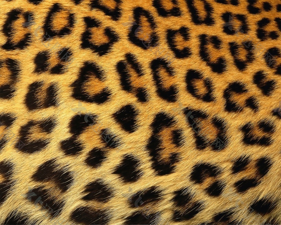 豹纹填充纹理背景素材