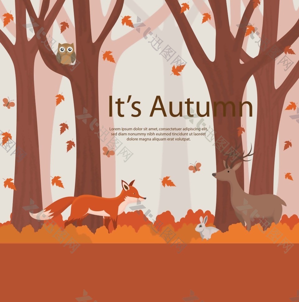 秋天的树林插画