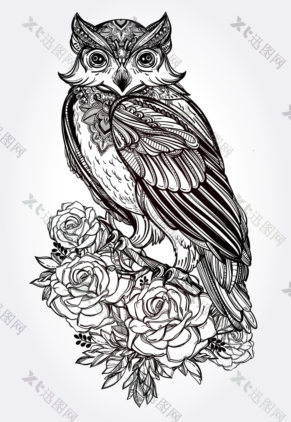 黑白时尚猫头鹰和花朵图案