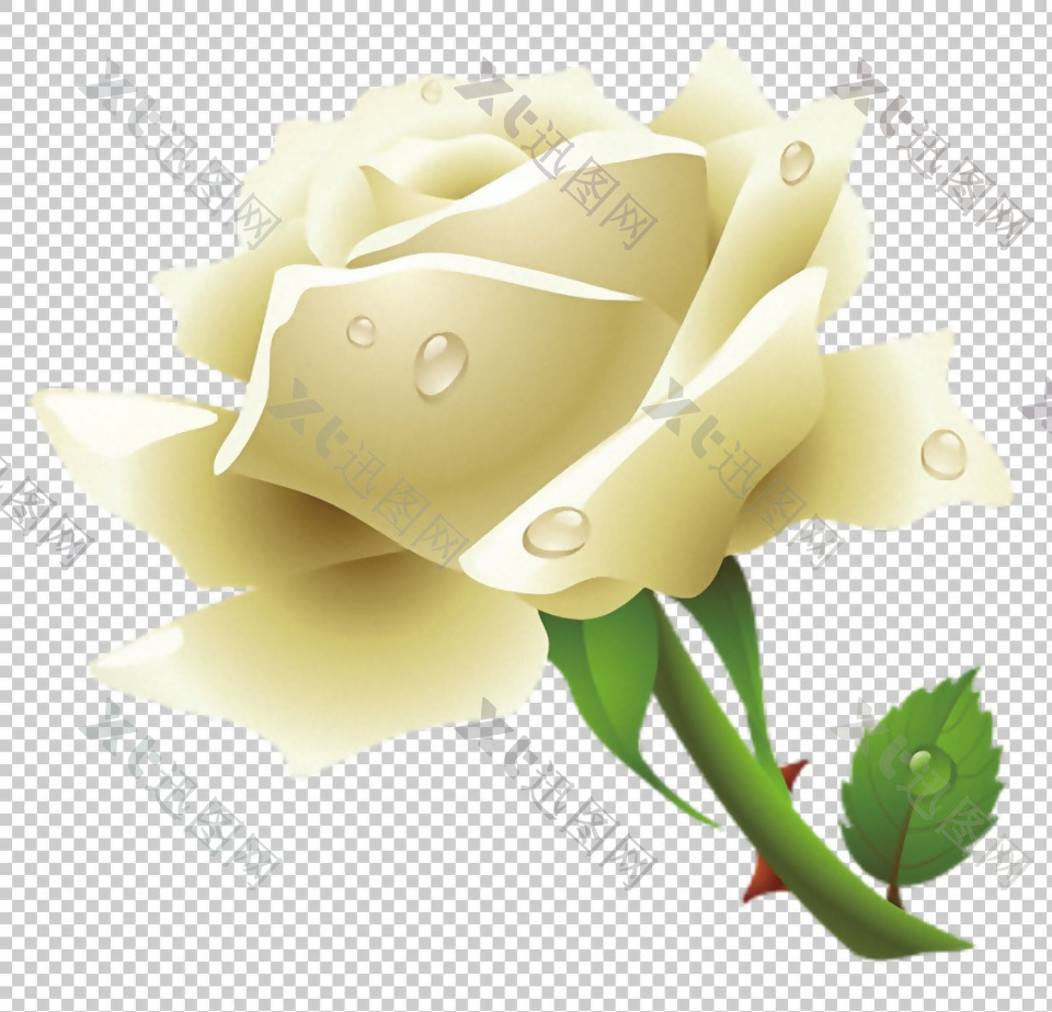 一朵绿叶白玫瑰免抠png透明图层素材