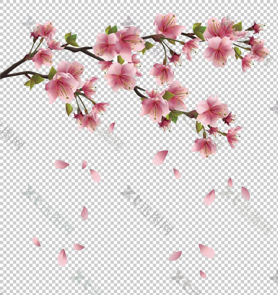 春天桃花飘落免抠png透明图层素材