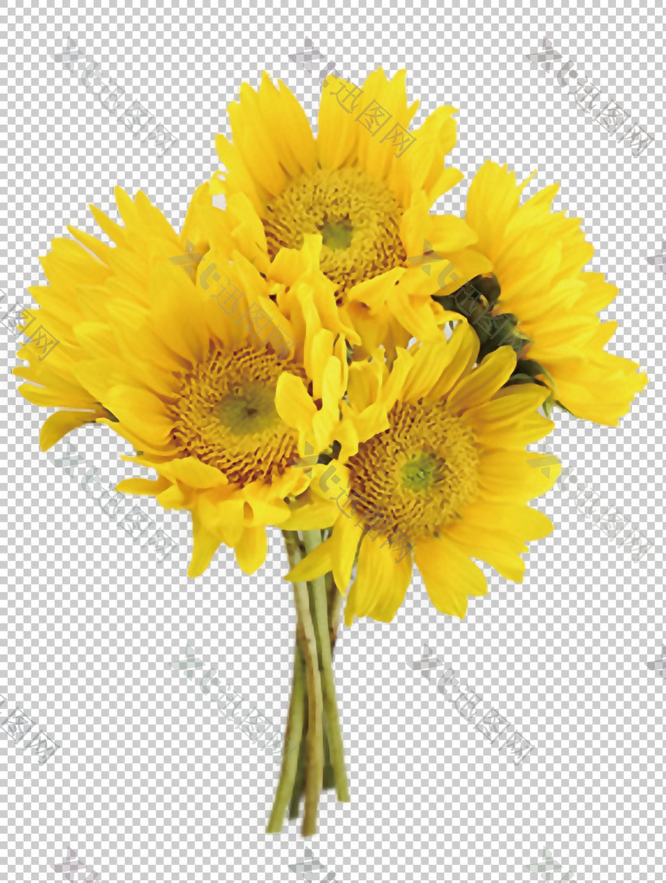 黄色葵花太阳花免抠png透明图层素材