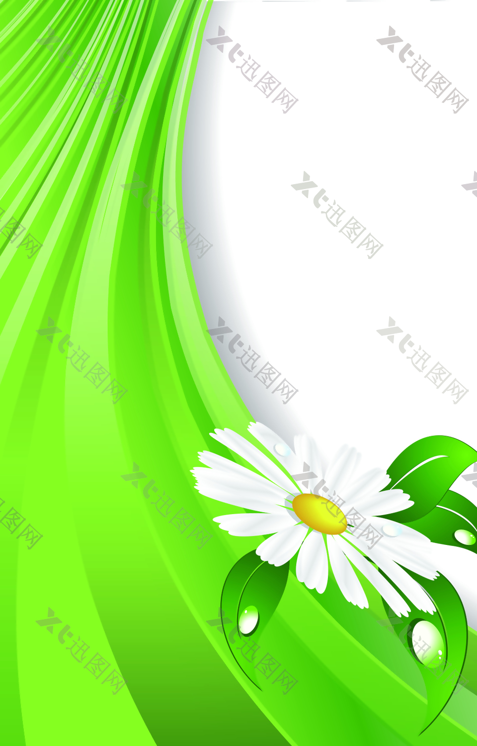 绿色飘带上的花朵背景