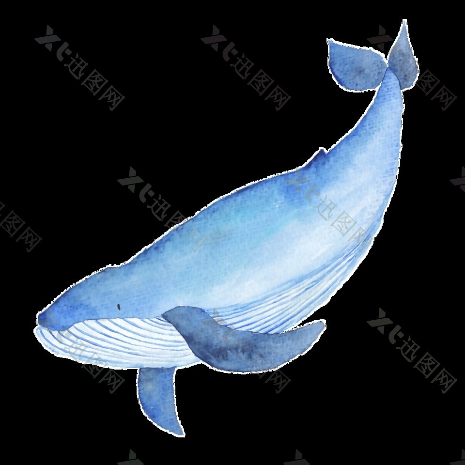 蓝色手绘鲸鱼卡通水彩素材