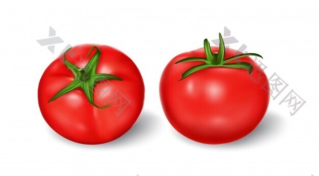 向量的写实风格，绿茎红番茄设置说明