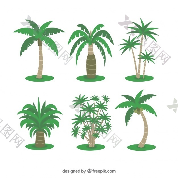 几种热带棕榈树