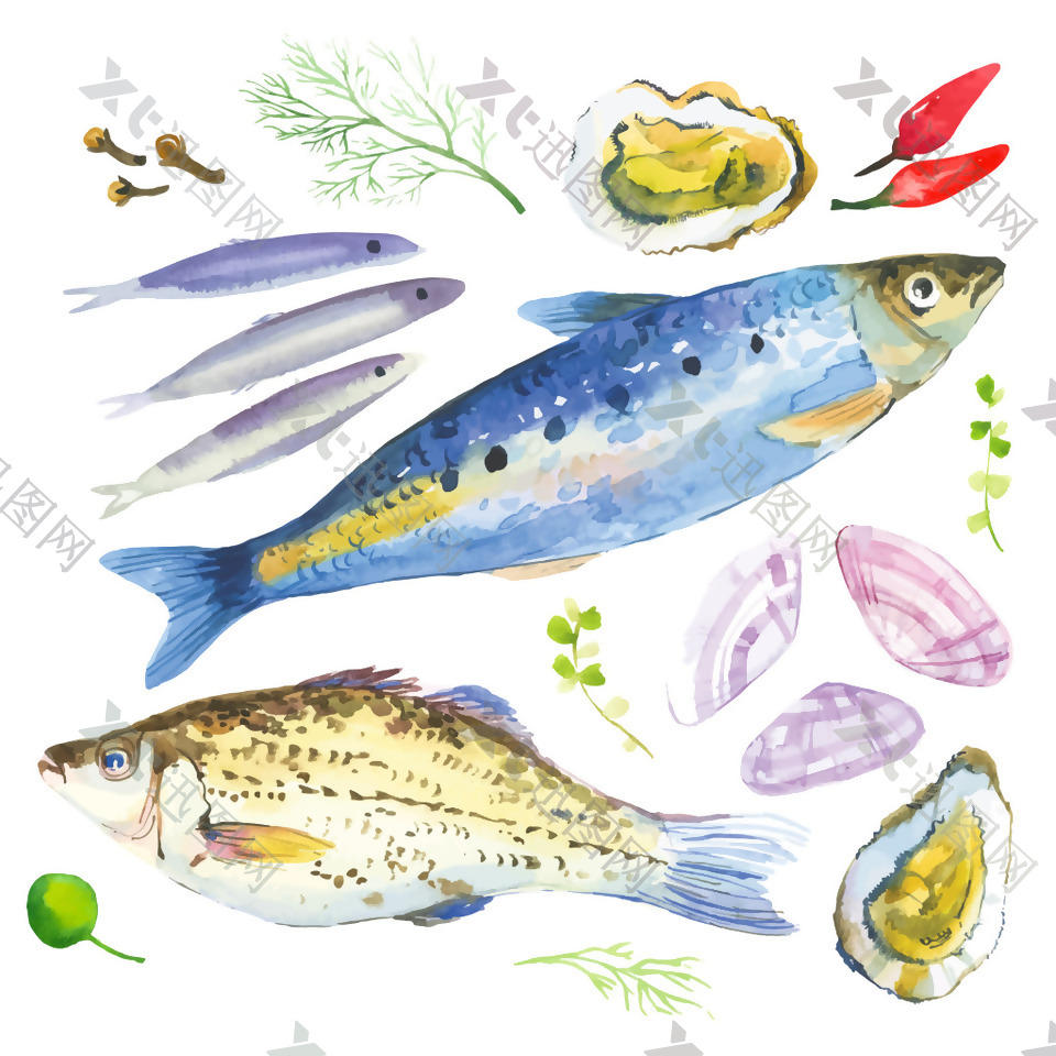 清新水彩绘海鲜食材插画