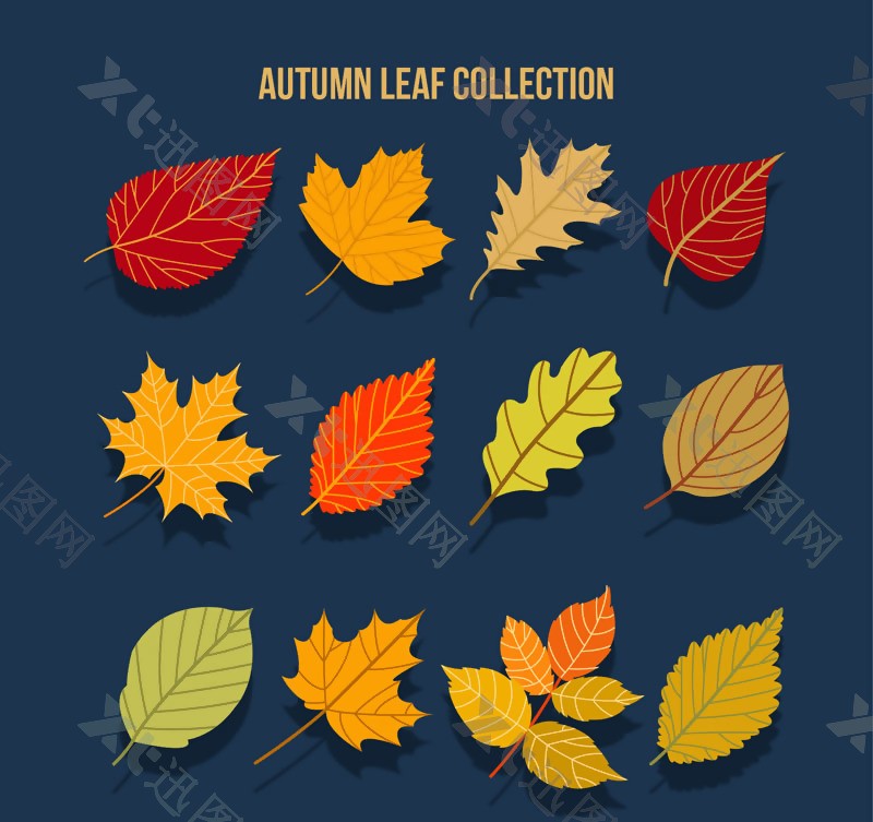 12款美丽秋季树叶矢量素材
