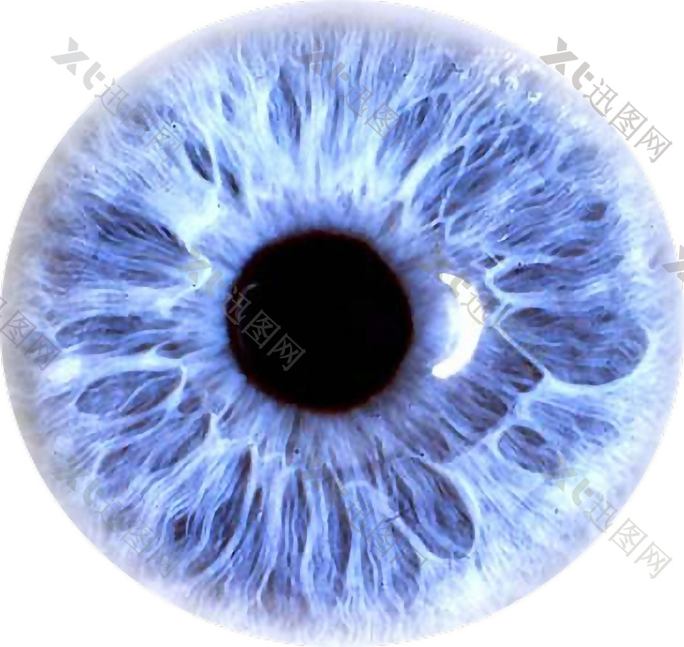 蓝色眼睛瞳孔免抠png透明素材