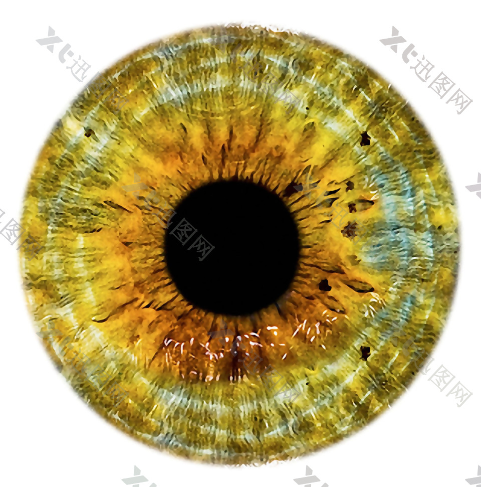 眼睛球瞳孔图片免抠png透明素材