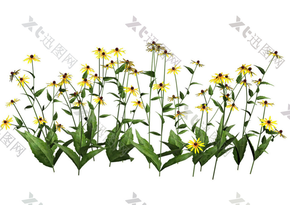 黄色绿叶菊花免抠png透明图层素材