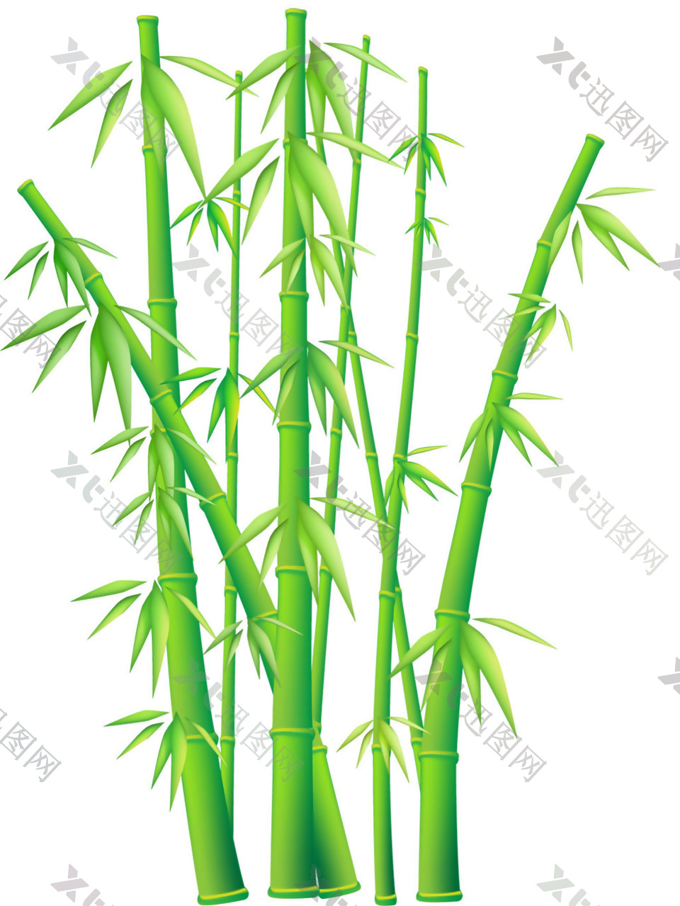 手绘新鲜绿色竹子免抠png透明素材