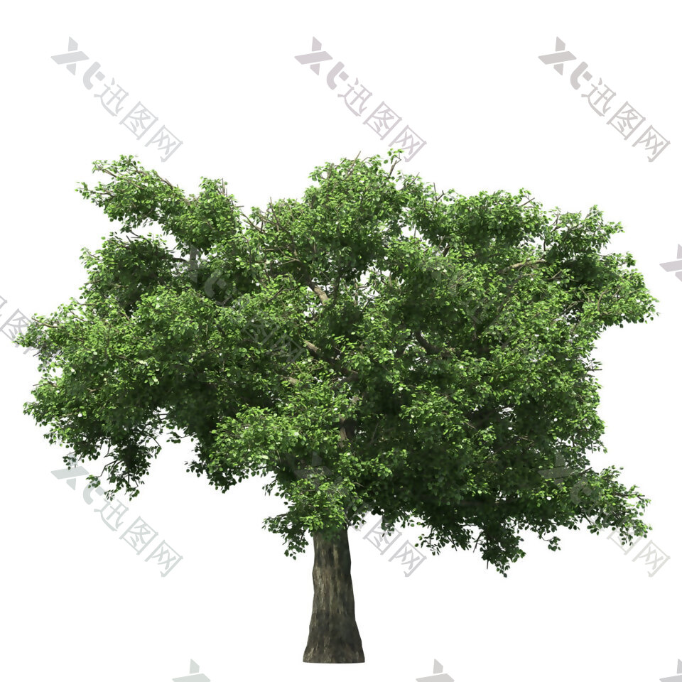 一棵绿色的大树png元素素材