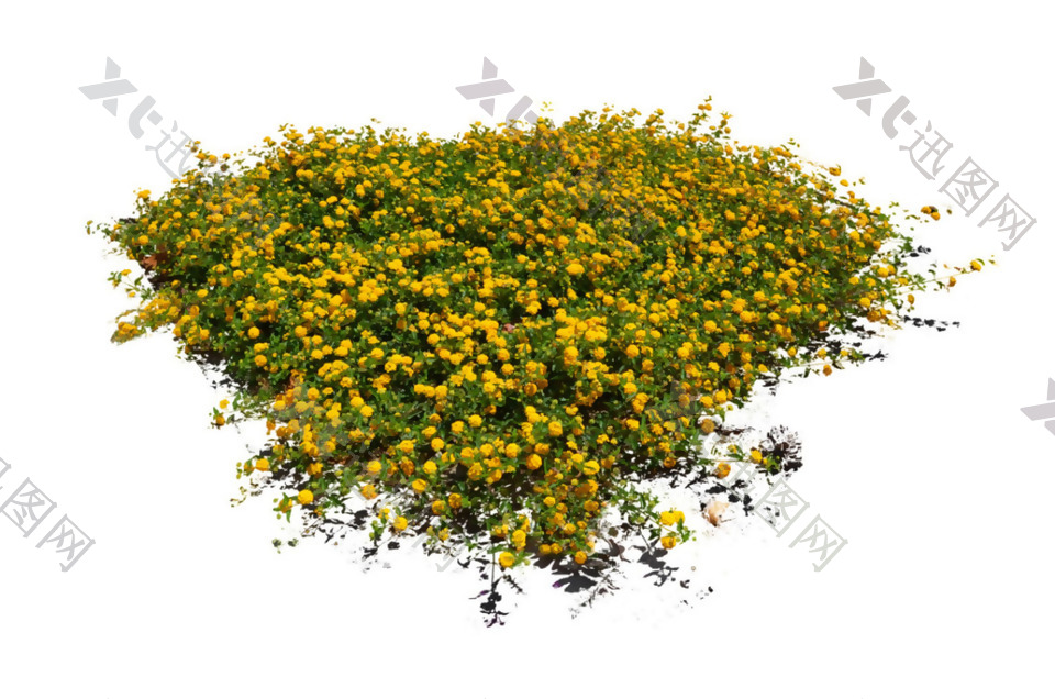 一片黄色花坪png元素素材