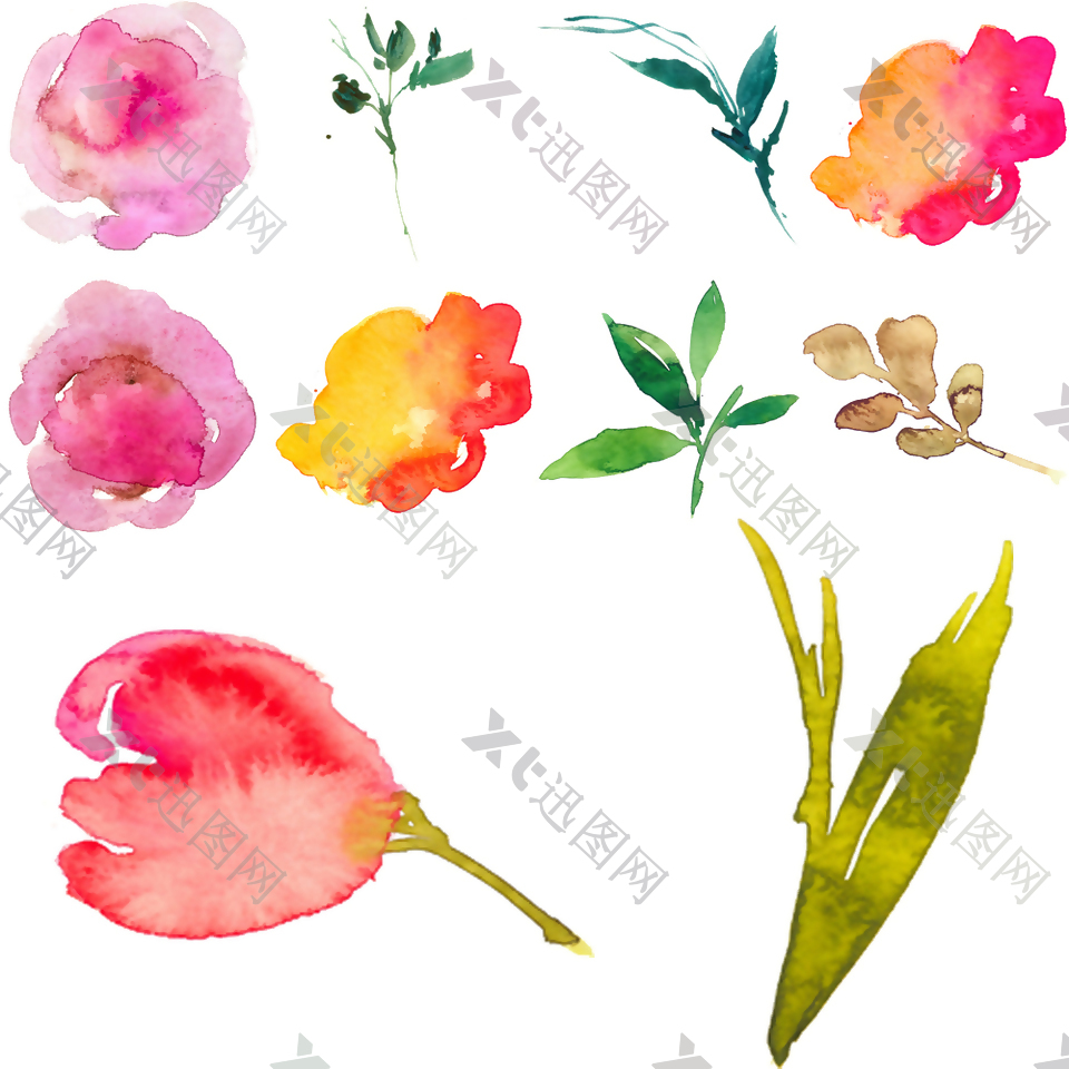 水彩绘植物花朵和叶子插画