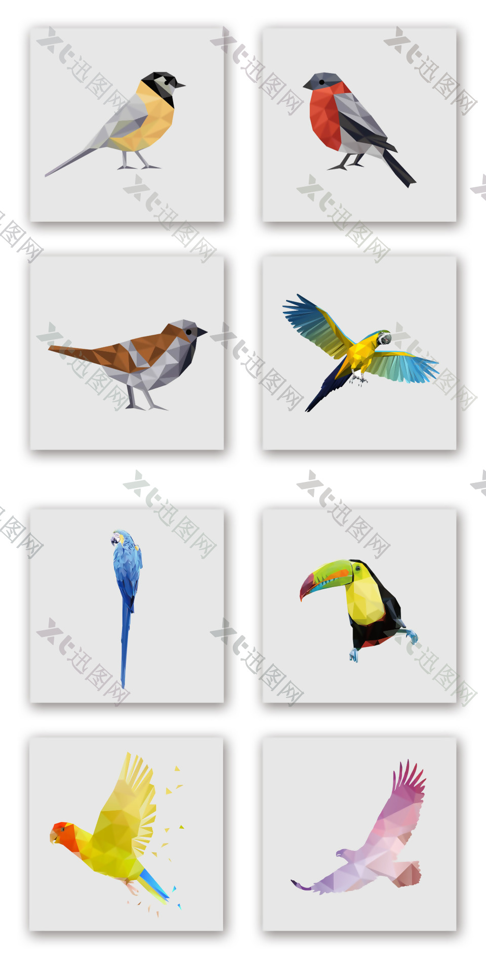 彩色几何鸟类装饰图案