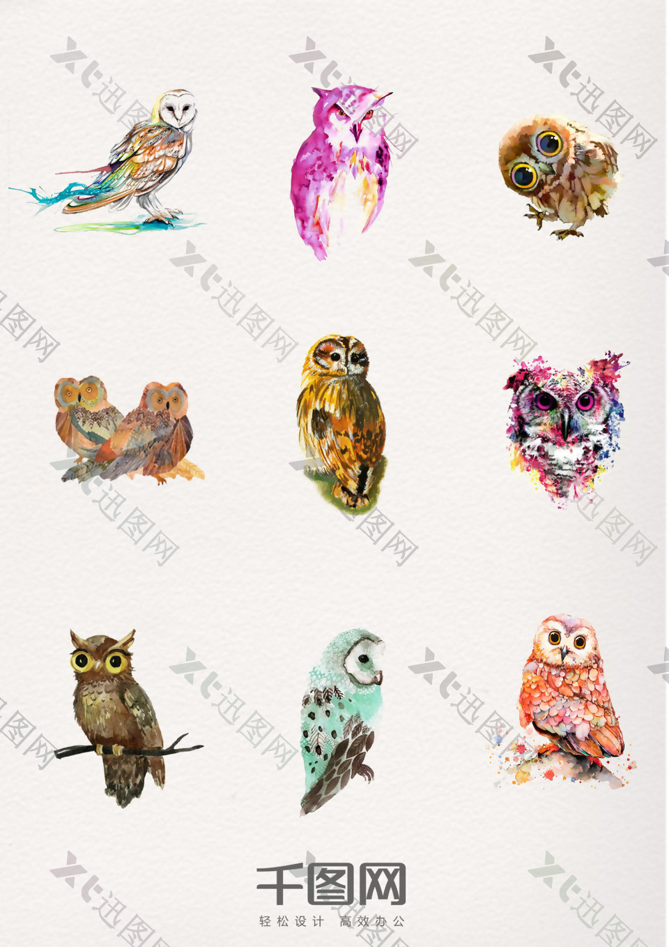 一组水彩动物猫头鹰设计素材