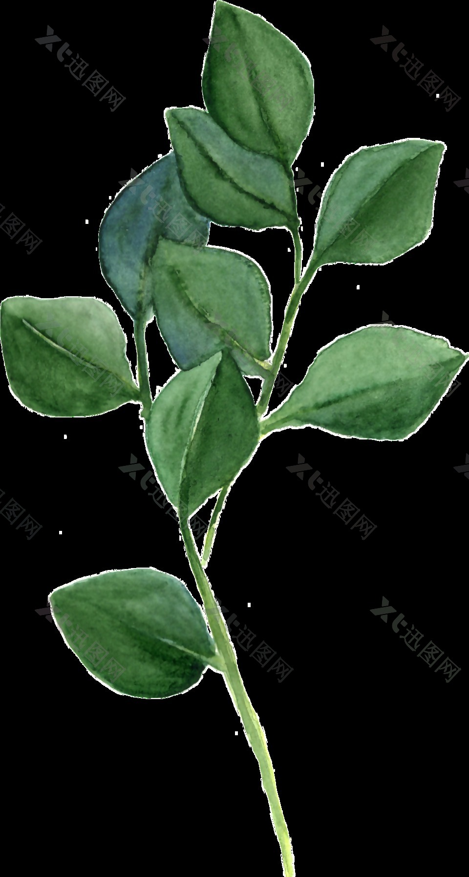 绿色清新植物透明素材
