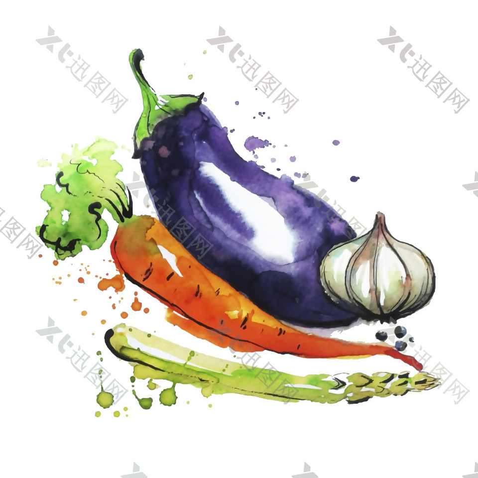 水彩绘蔬菜插画