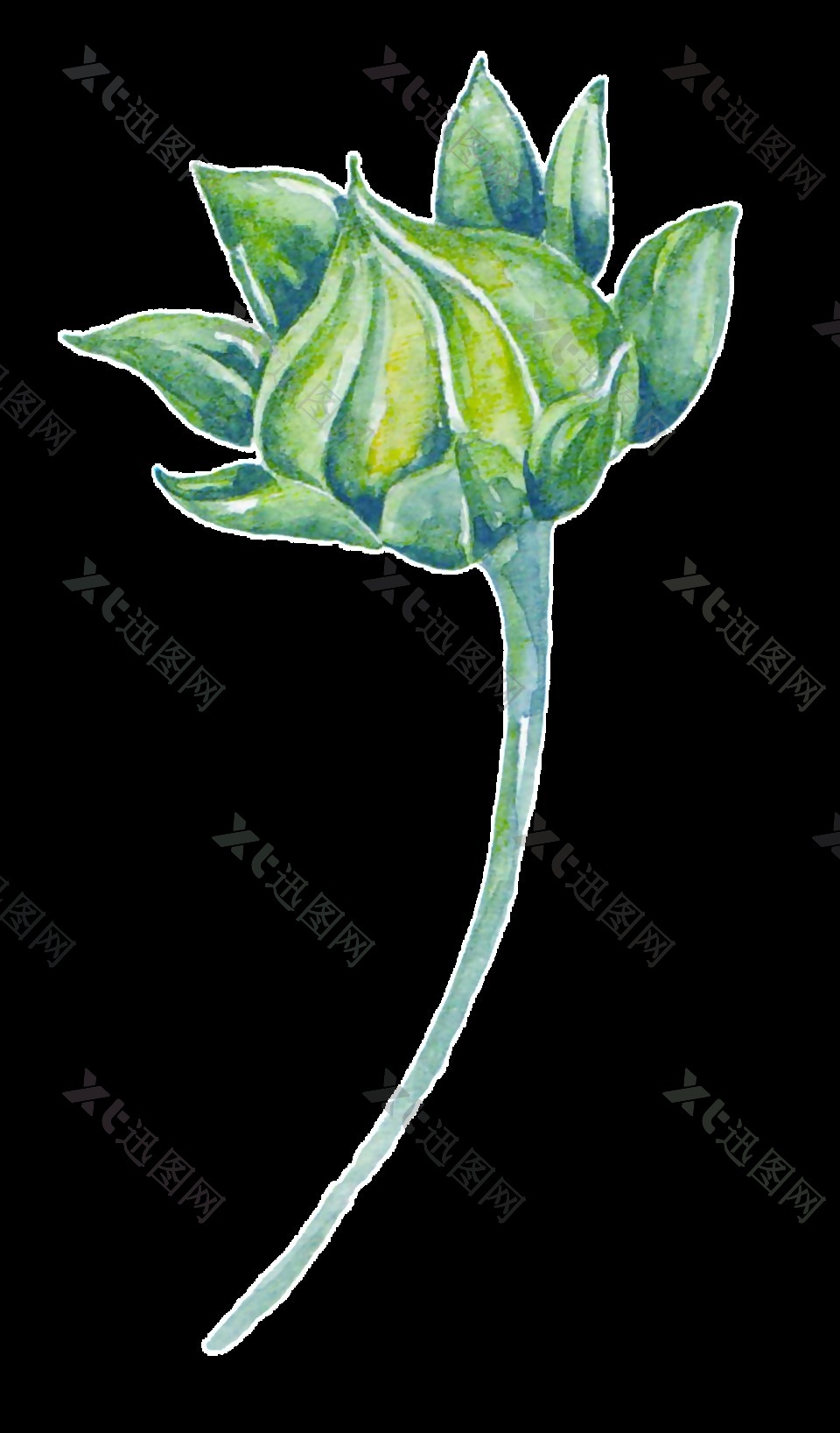 绿色水彩植物卡通透明素材