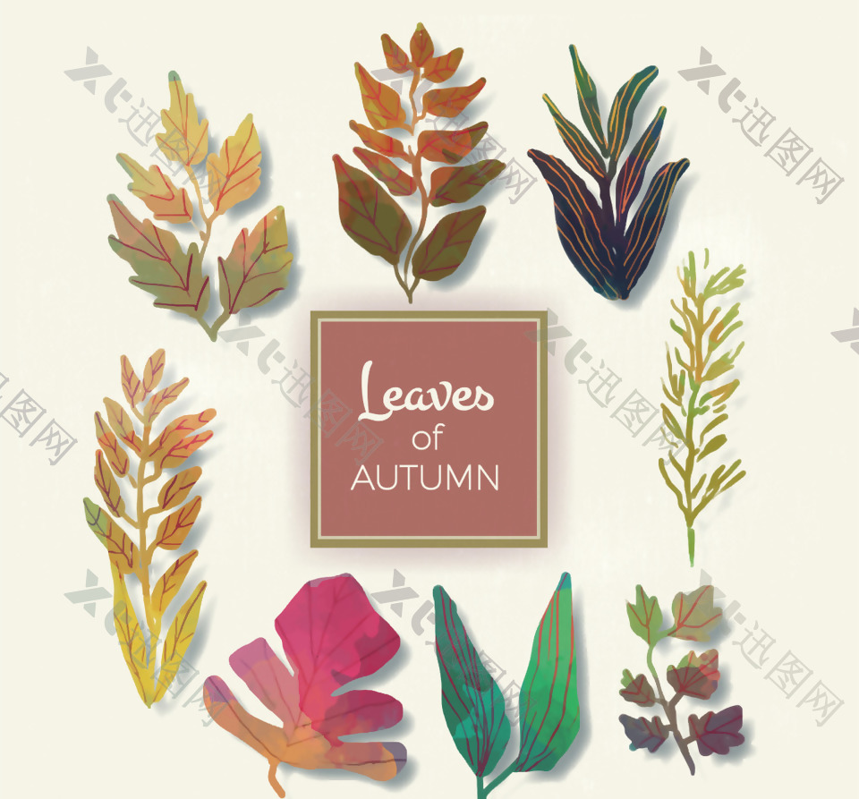 秋天手绘的树叶收集
